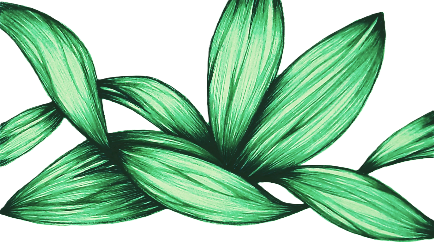 Green Wave by Sherrina Hansen