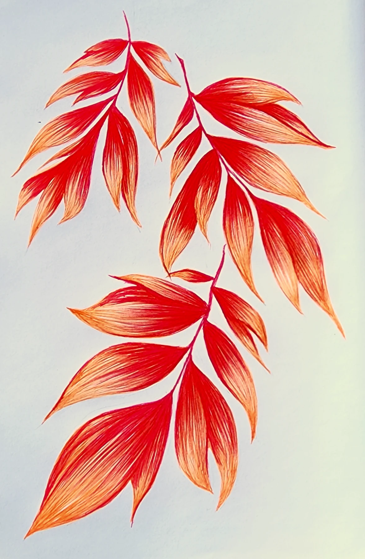 Phoenix Feathers by Sherrina Hansen
