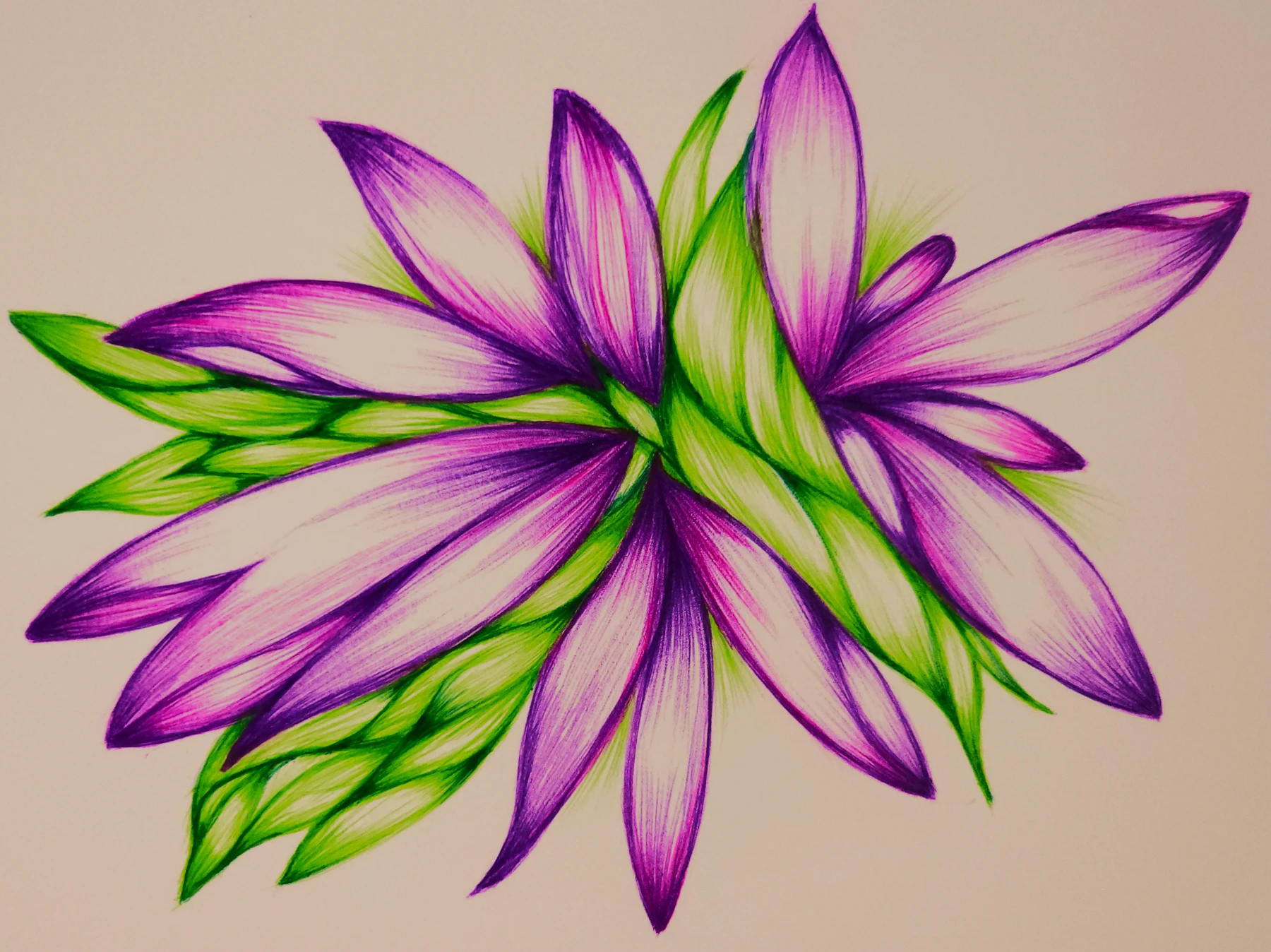 Pop of Purple by Sherrina Hansen